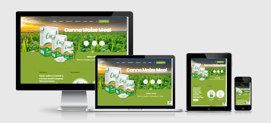 responsive website design in kenya