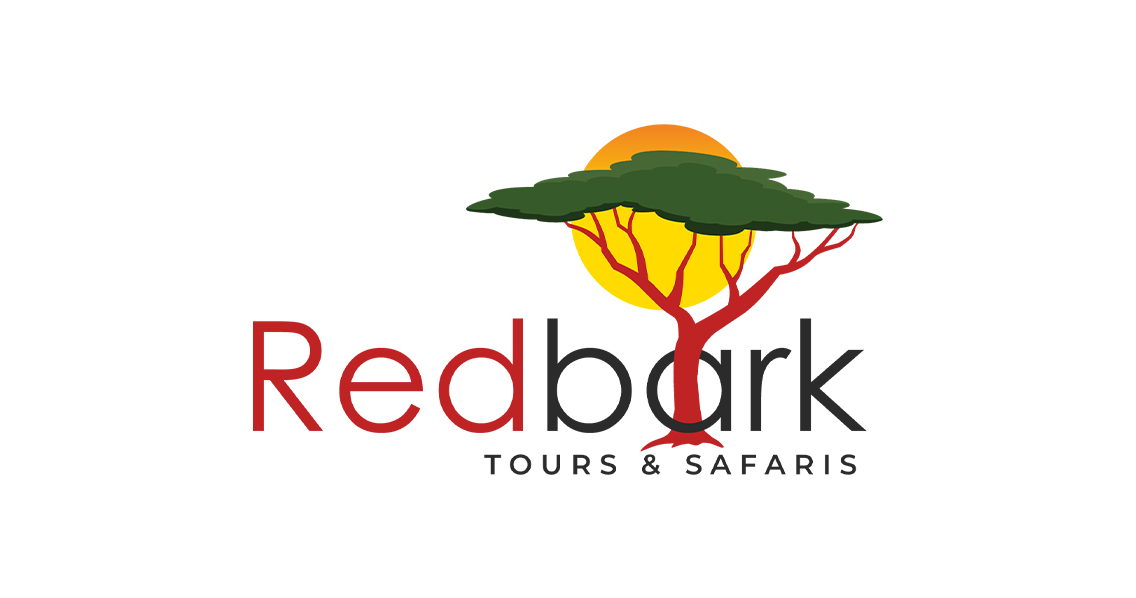 Redbark Safaris Logo Design in Nairobi Kenya