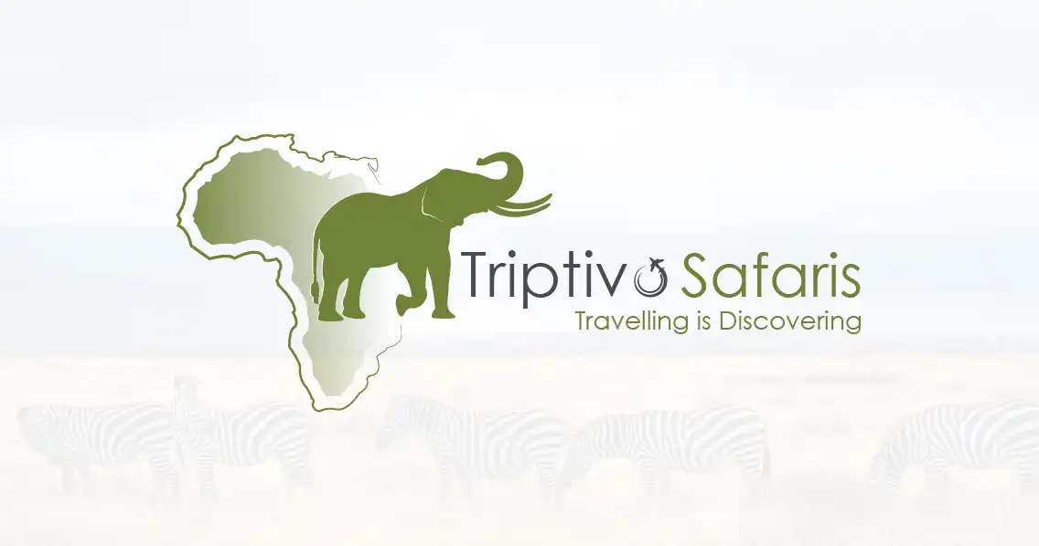 Triptivo Safaris Limited Logo design in Nairobi Kenya