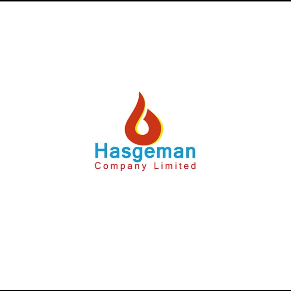 Hasgem Company LTD Logo
